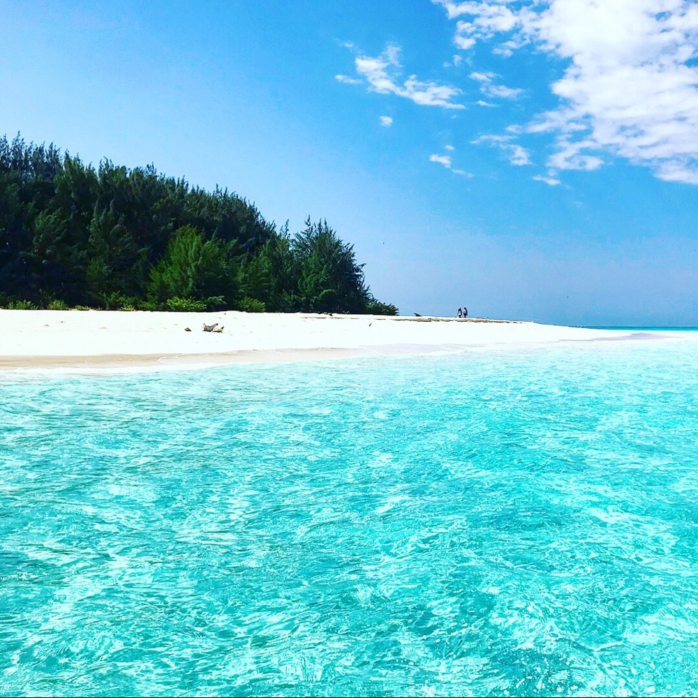 Meet your Posher, Daniela